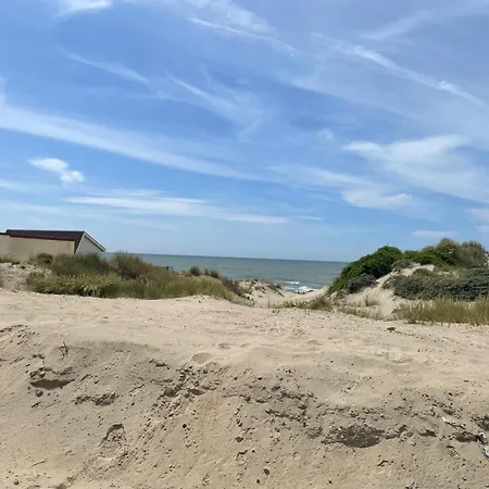 Dunes Et Camiers